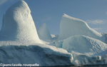 Huge icebergs