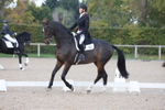 British Dressage portfolio