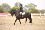 SBM_000929