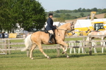 SBM_10248