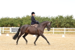 SBM_004637