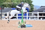 BPP_6238