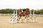 SBM_008700