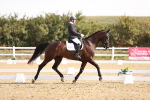 SBM_016988