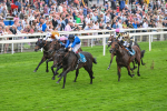 080925-Race 5-Elmonjed-7690