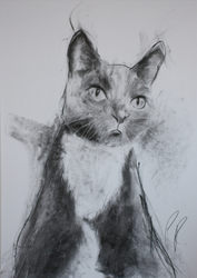 portrait commissions portfolio