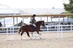 SBM_16764