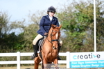 Quest Dressage = Click to View portfolio