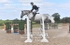 BPP_5369