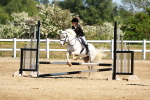 SBM_007144