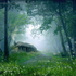 The Cottage in the Woods