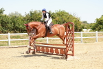 SBM_003737