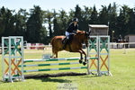 Sat 45 Snr 90cm Derby Trial portfolio