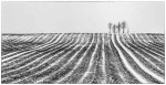 Snow storm on hill of Grange