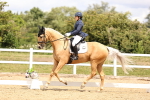 SBM_002994