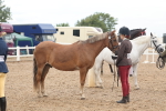 SBM_07800