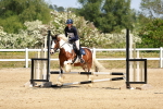 SBM_007804