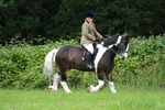WJ7_2326