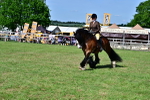 SBM_09360