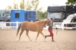SBM_08274