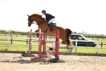 Class 19 - Senior Foxhunter - 1.20m portfolio