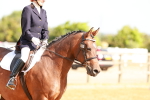 SBM_000347