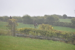 WJ5_7348