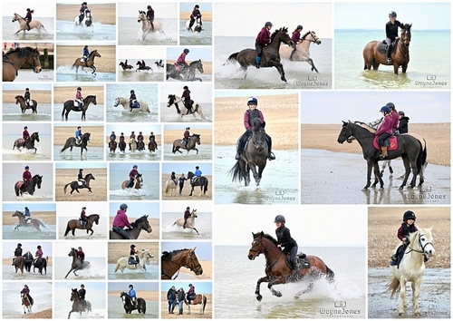 beach jpegs