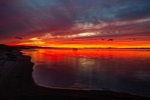 Nantucket Reds