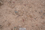 240713A-134904-00785