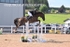 BPP_6597