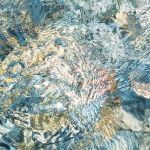 SPLASH #4- BRUCE COUNTY