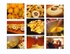 Quince Montage 