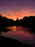 Silhouette of a Hippo creating waves in a river at sunset