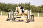 SBM_002195