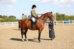 SBM_02347