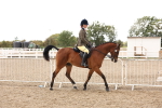 SBM_04185