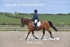 BPP_6095