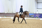 SBM_000868