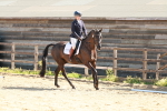 SBM_009953