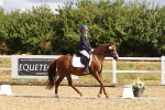 SBM_003667