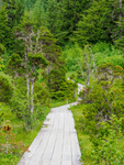 Icy Strait Point-46