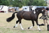 WJ6_5869