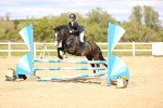 SBM_003007