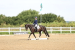 SBM_000253