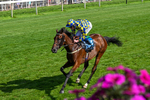 110726-Race 5-Cruden-0379