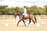 SBM_009853