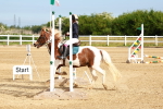 SBM_006470