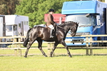 SBM_12274