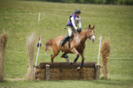 BVHT 140517  NXC -208